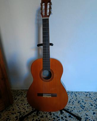 chitarra 