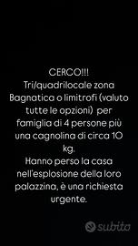 Richiesta appartamento