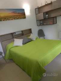 Monolocale settimana bianca