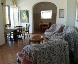 Ischia-Forio splendido appartamento in settembre