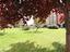 Immagine 14