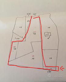 Terreno edificabile contrata CAMPOLIBERTO