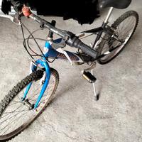 Bicicletta Marzano 24