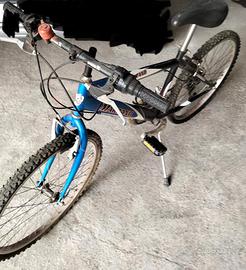 Bicicletta Marzano 24