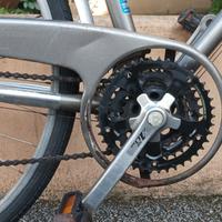 Bici Torpado, alluminio, cambio shimano