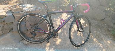 Bici pinnarello