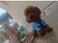 Immagine 1