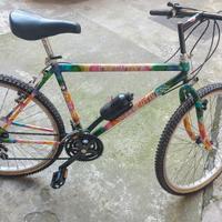 bicicletta mtb