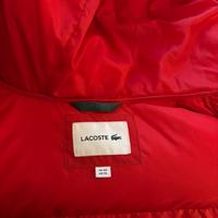 Giacca imbottita corta LACOSTE uomo XS