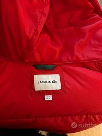 Giacca imbottita corta LACOSTE uomo XS