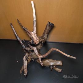 Radice legno acquario