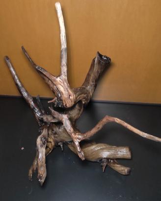 Radice legno acquario