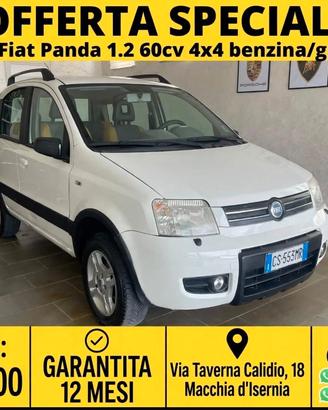 Fiat Panda 1.2 4X4
