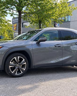 Lexus UX 250h Hybrid AWD Luxury *PREZZO REALE* Nav
