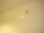 Immagine 29