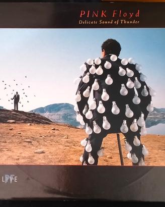 Pink Floyd delicate sound of Thunder 2 lp Italia