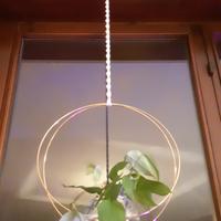 Supporto sospeso per piante