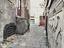 Immagine 5