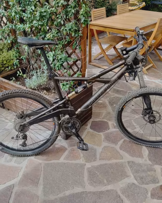Cannondale Prophet