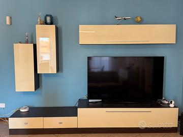 Mobile TV