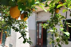 Casa singola con garage cortile terrazzo