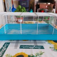 Gabbia per criceti russi