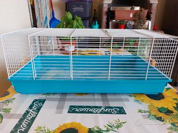 Gabbia per criceti russi