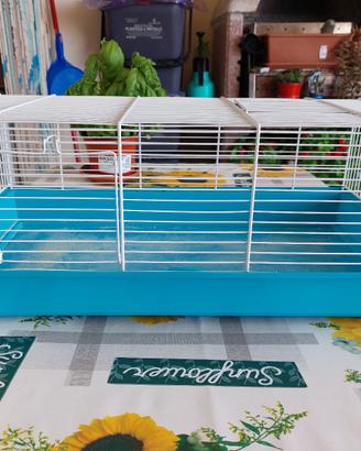 Gabbia per criceti russi