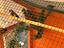 Immagine 2