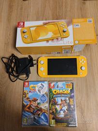 Nintendo switch lite