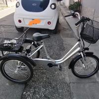 triciclo e-bike a pedalata assistita