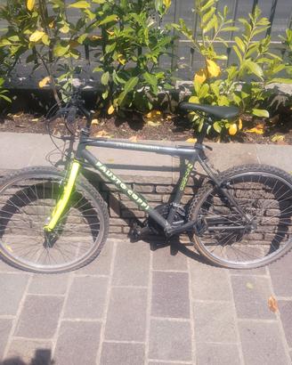 bicicletta Mountain bike
