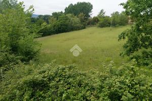 TER. AGRICOLO A AQUINO