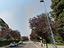 Immagine 11