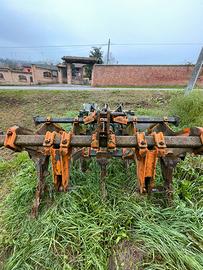 Ripper-ripuntatore 5 ancore 2,5mt pegoraro