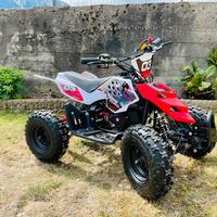 Miniquad raptor xxl 49cc