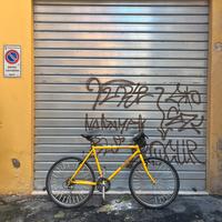 Specialized Rockhopper mtb vintage 26