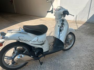 Aprilia Scarabeo 50