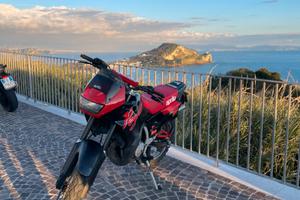 aprilia pegaso 125
