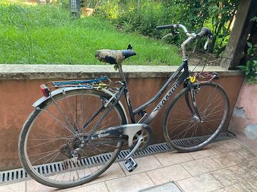 Bici da donna taglia 26 con portapacchi