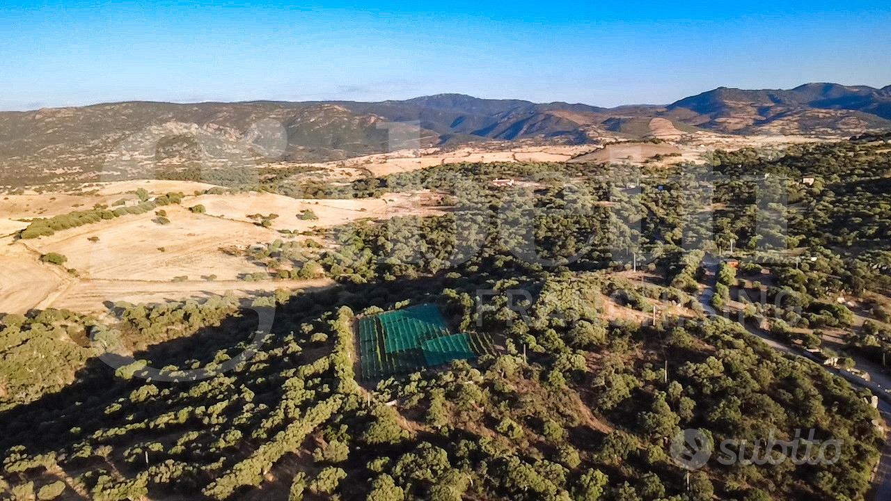 Terreno Agricolo Oschiri [Cod. rif 3328729VRG] - Vista 2