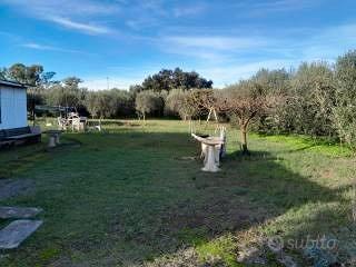 Terreno agricolo - Altro