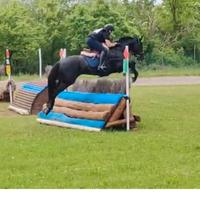 Pony da completo, salto ostacoli