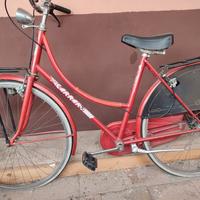 bici Donna 26