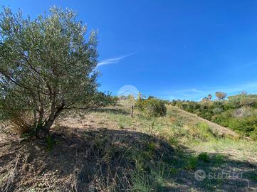 TER. AGRICOLO A GIUNGANO
