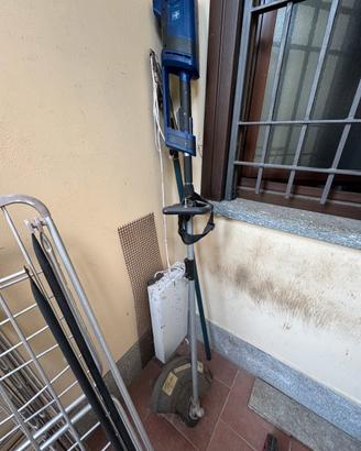 Decespugliatore