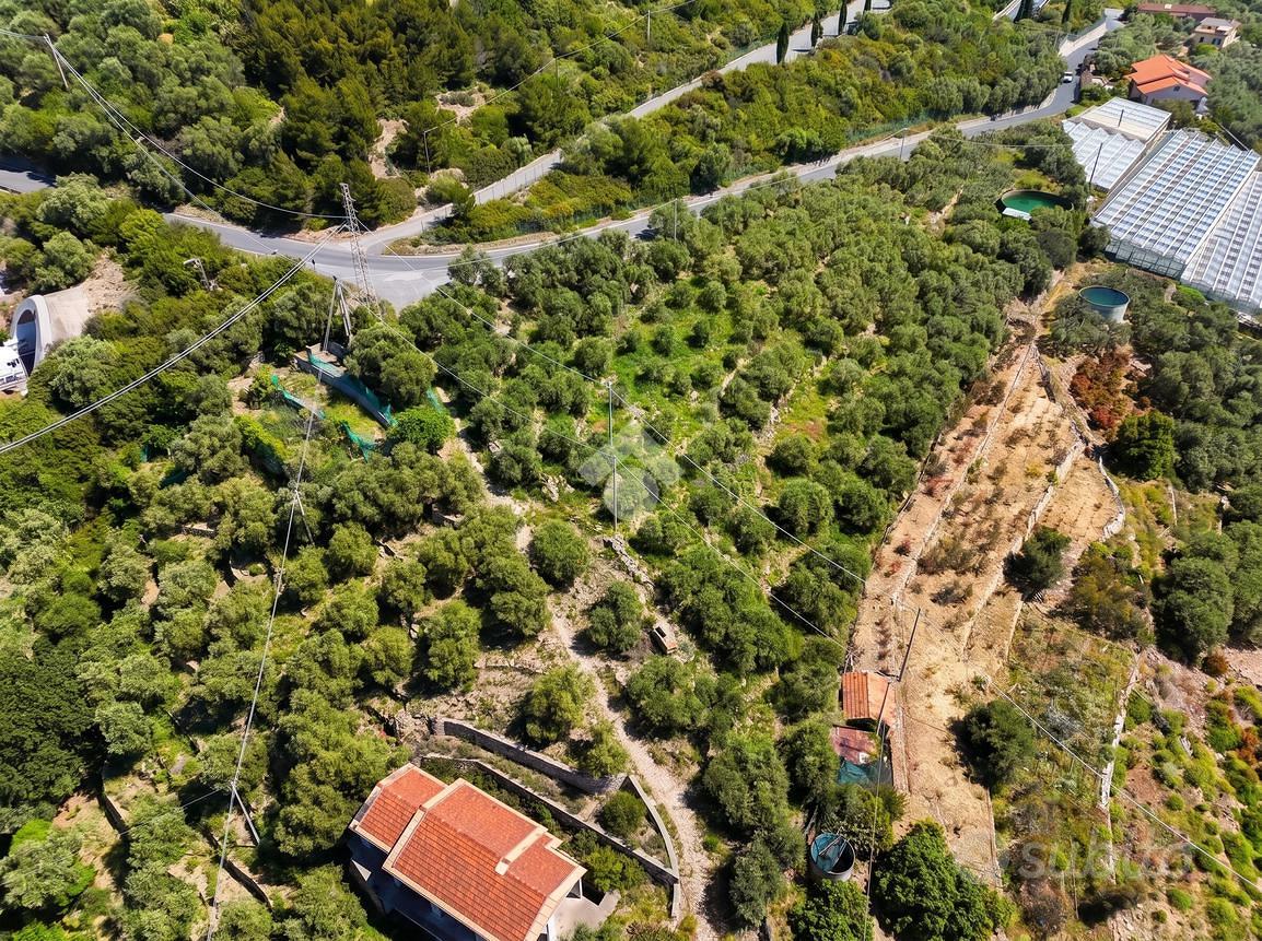TER. AGRICOLO A CIPRESSA - Vista 4