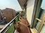 Immagine 19