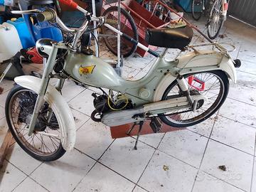 motorino 50cc