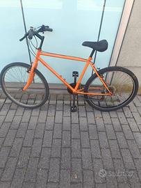 bici MTB e Cruiser 